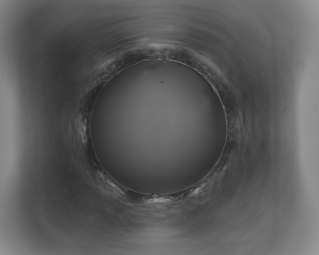 X0000110701013200906191523