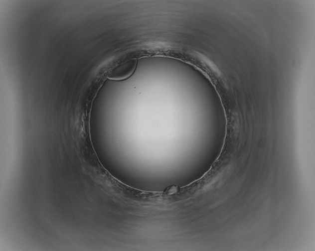 X0000110701016200906191523