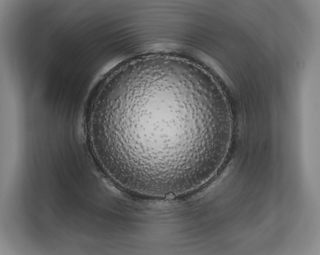 X0000110701018200906191523
