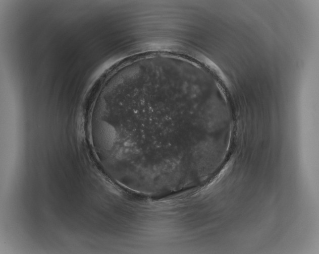 X0000110701019200906191523