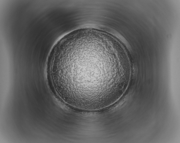 X0000110701020200906191523