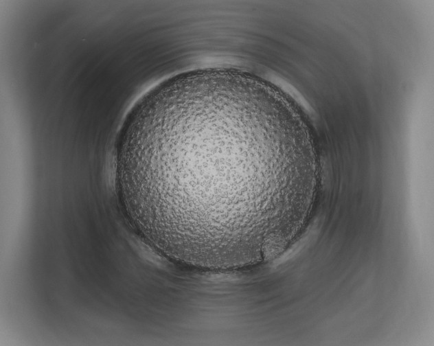 X0000110701021200906191523