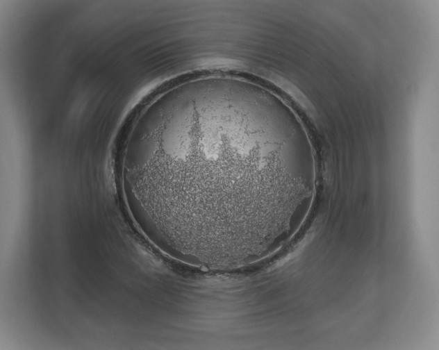 X0000110701022200906191523