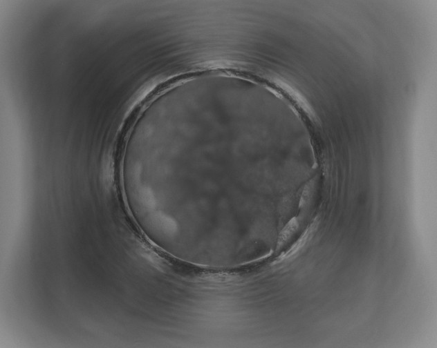 X0000110701023200906191523