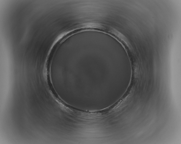 X0000110701024200906191523