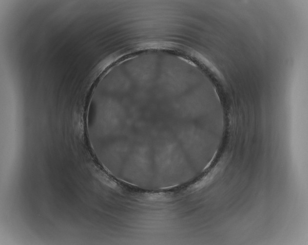 X0000110701025200906191523
