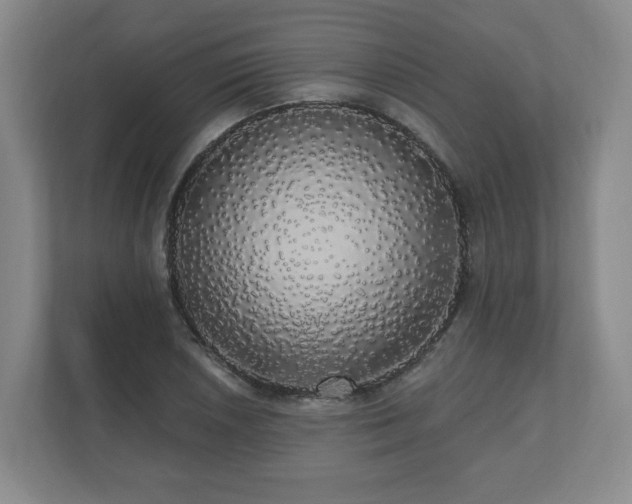 X0000110701026200906191523