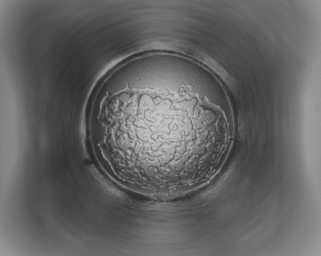 X0000110701028200906191523