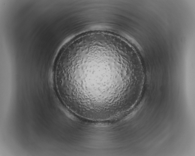 X0000110701029200906191523