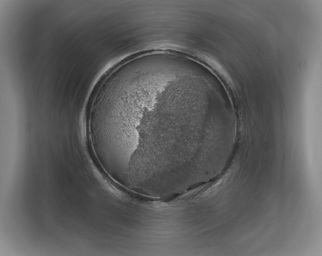 X0000110701032200906191523