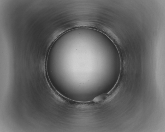 X0000110701033200906191523