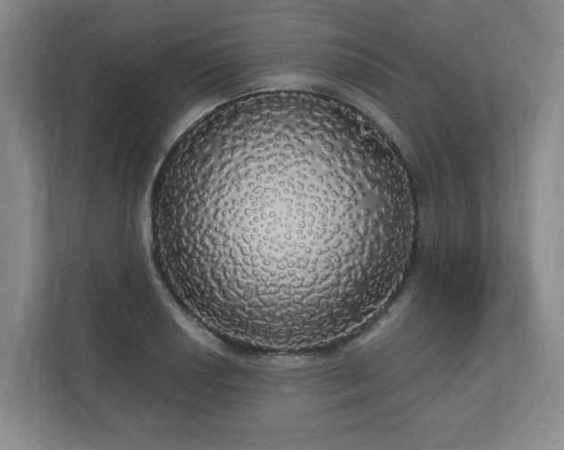 X0000110701034200906191523