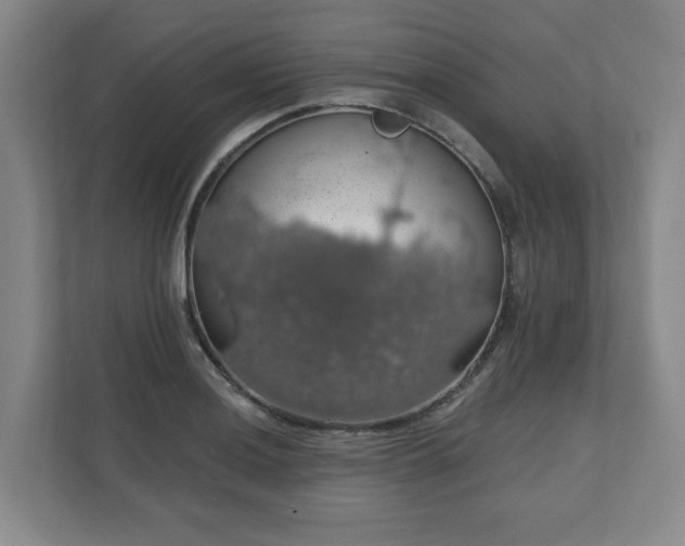 X0000110701036200906191523