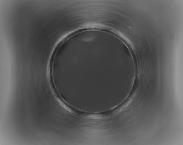 X0000110701037200906191523