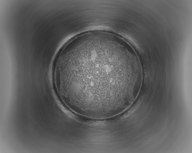 X0000110701038200906191523