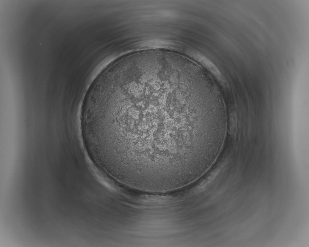 X0000110701039200906191523