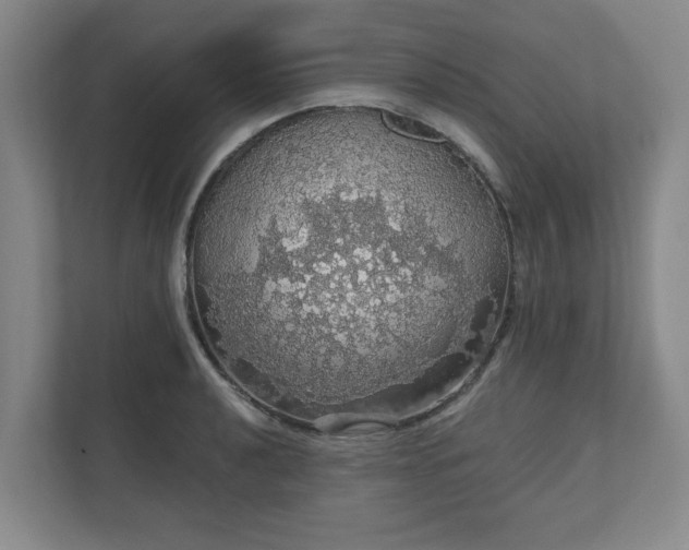 X0000110701040200906191523