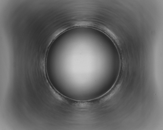 X0000110701041200906191523