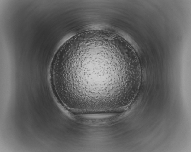 X0000110701042200906191523