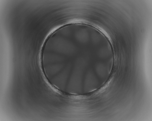 X0000110701045200906191523