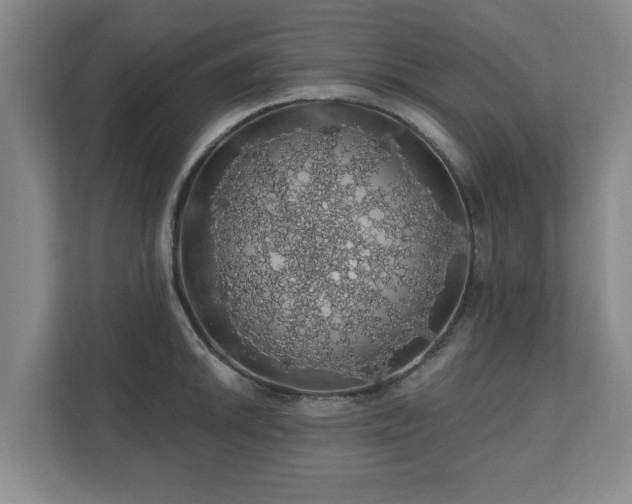 X0000110701046200906191523