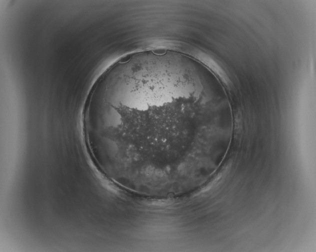 X0000110701047200906191523