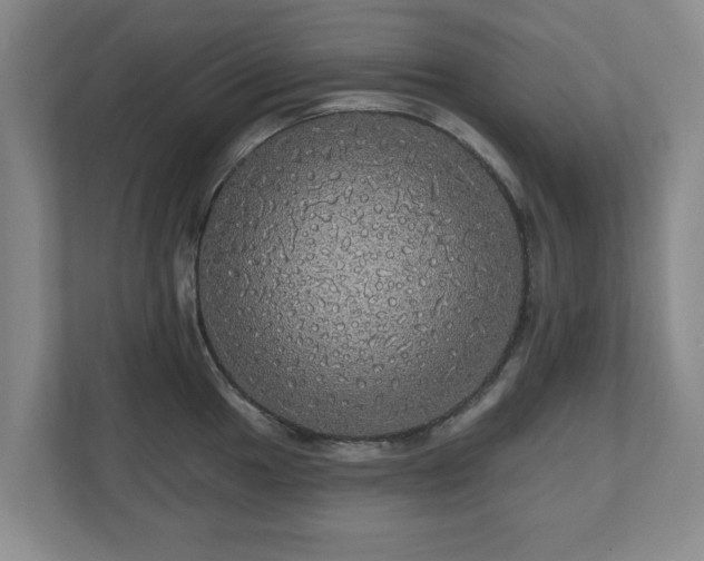 X0000110701049200906191523