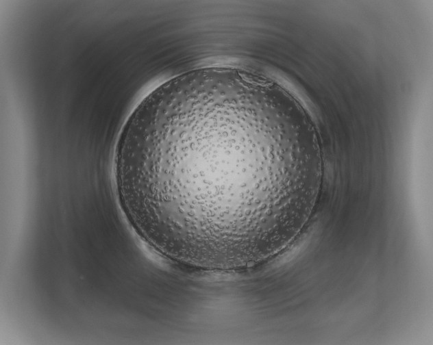 X0000110701050200906191523