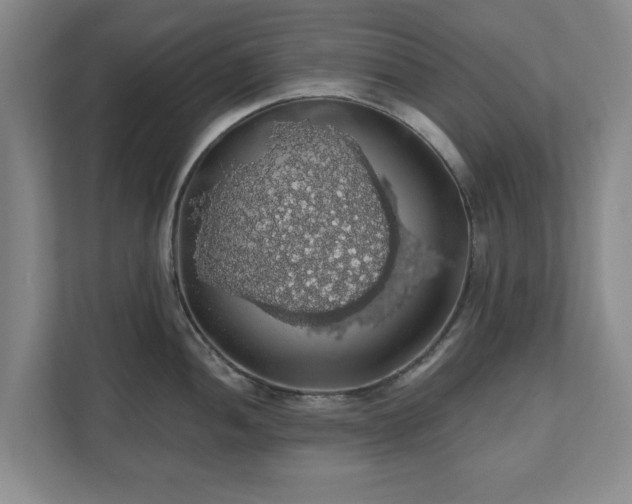X0000110701052200906191523