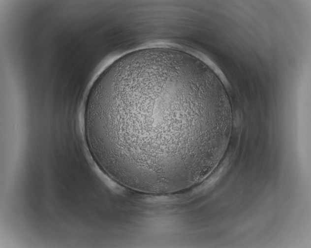 X0000110701054200906191523