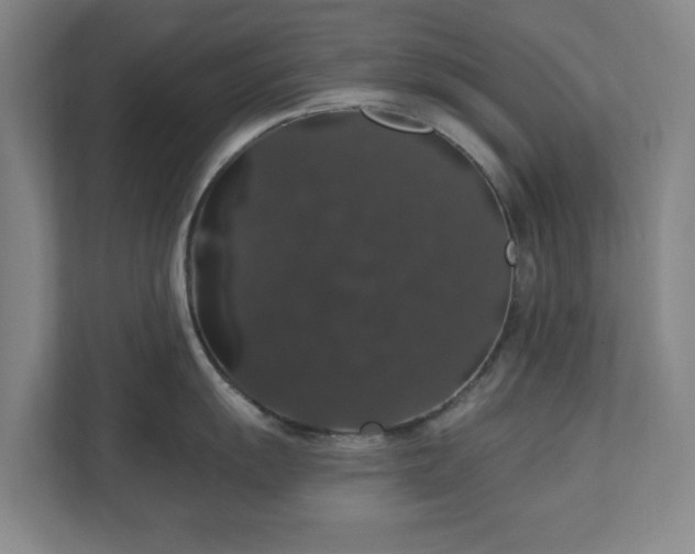 X0000110701055200906191523