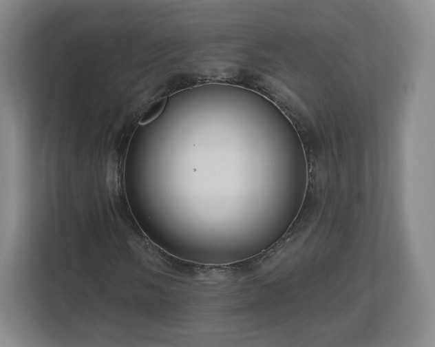 X0000110701058200906191523