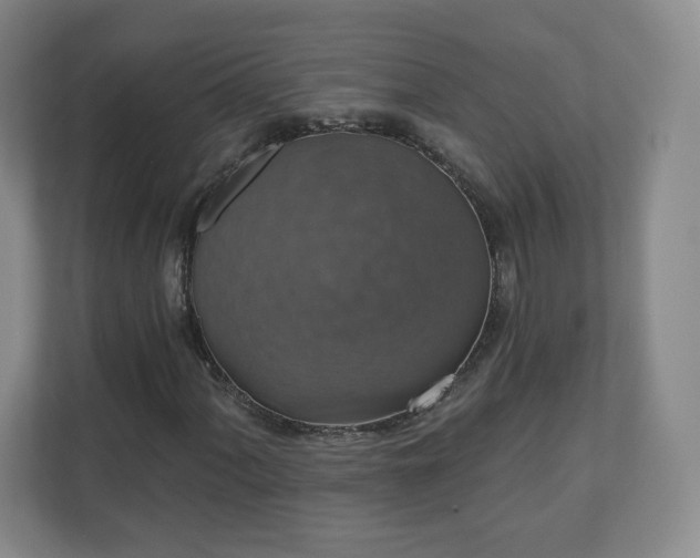 X0000110701060200906191523