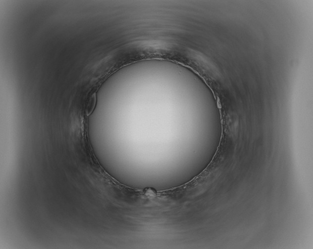 X0000110701061200906191523