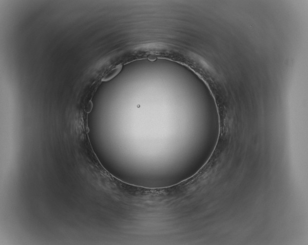 X0000110701062200906191523