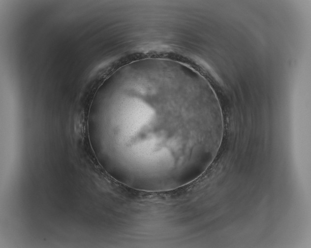 X0000110701063200906191523