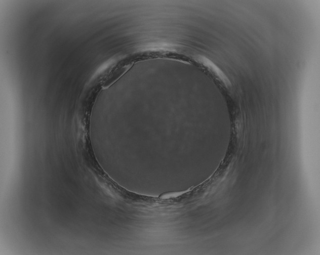 X0000110701064200906191523