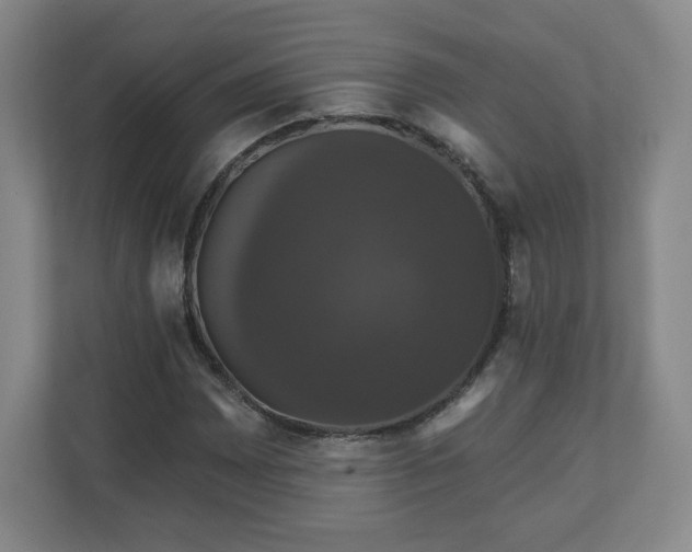 X0000110701065200906191523