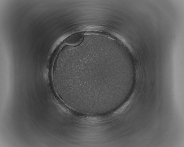 X0000110701066200906191523