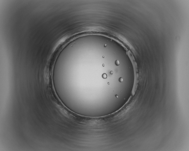 X0000110701067200906191523
