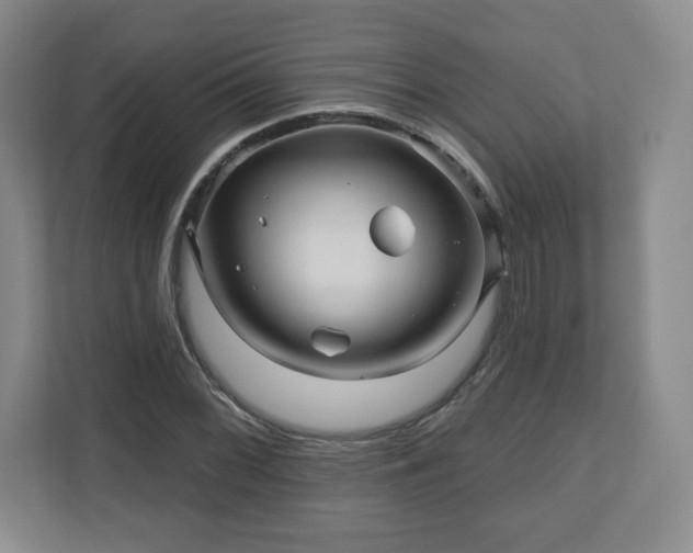 X0000110701068200906191523