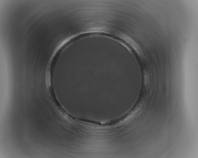 X0000110701069200906191523