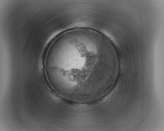X0000110701070200906191523