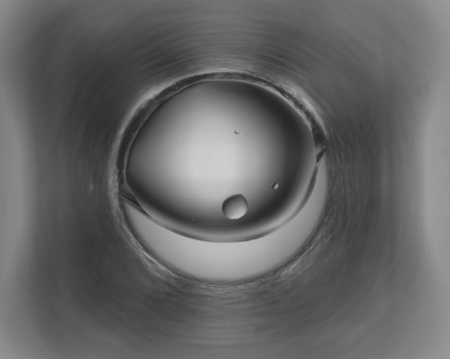 X0000110701072200906191523