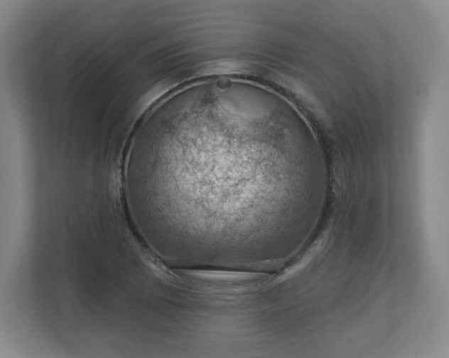 X0000110701073200906191523