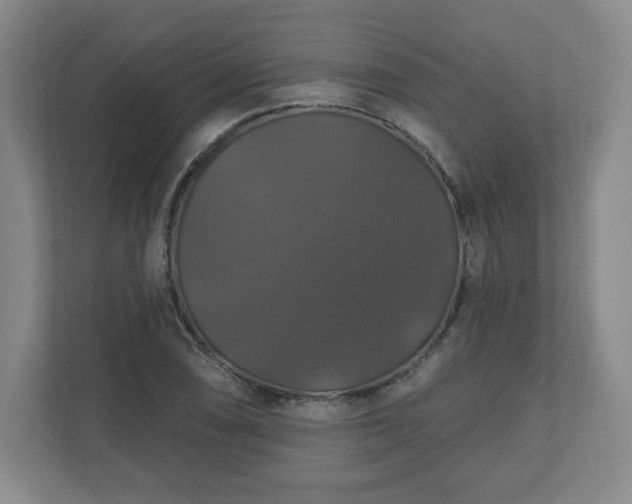 X0000110701074200906191523