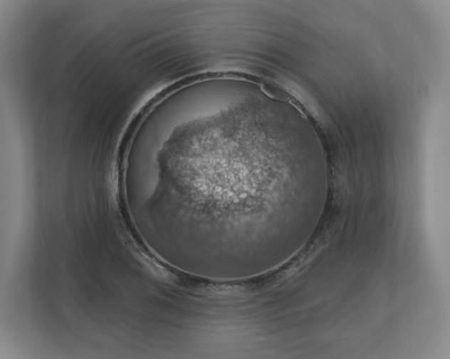 X0000110701076200906191523