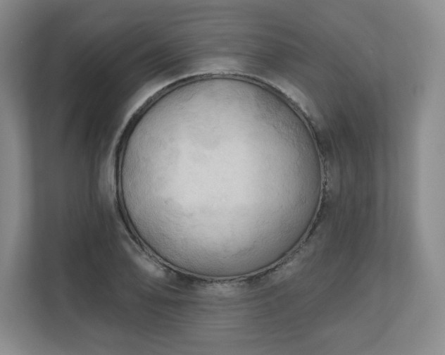 X0000110701078200906191523