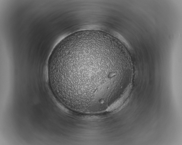 X0000110701079200906191523
