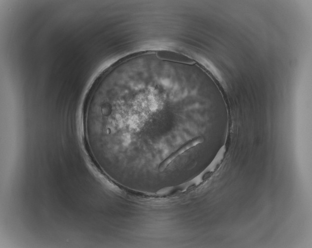 X0000110701080200906191523